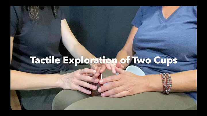 Tactile Exploration of Two Cups