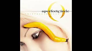 A̲ P̲e̲r̲fect C̲i̲rcle -  Thirteenth Step (Full Album)