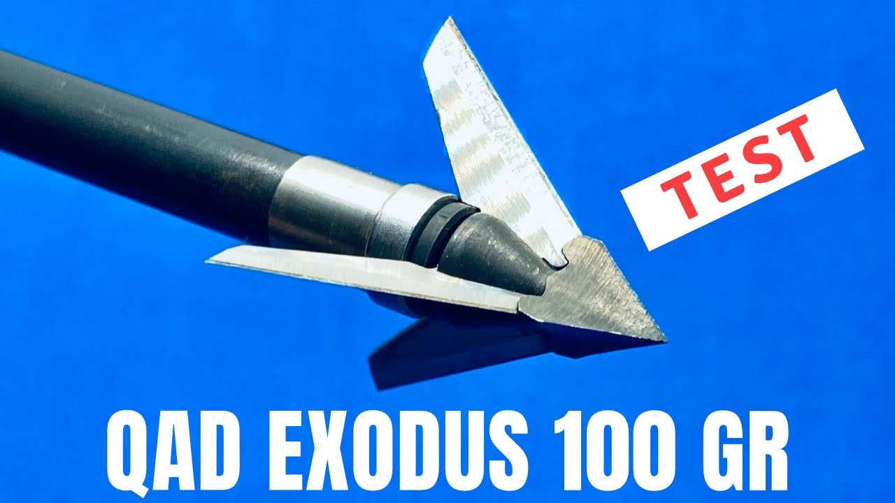 EXODUS SWEPT 100 gr Broadhead TestOne of the Best in 2022 YouTube