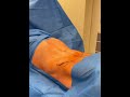 Liposaksiya va abdominoplastika  975592030