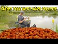 Boring but effective  short pole fishing with pellets