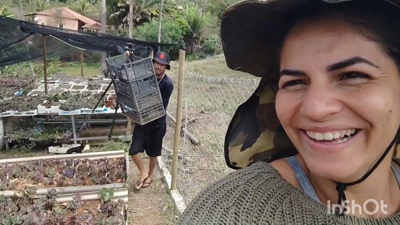 Após 30 dias mas uma retirada de mudas dos caules 