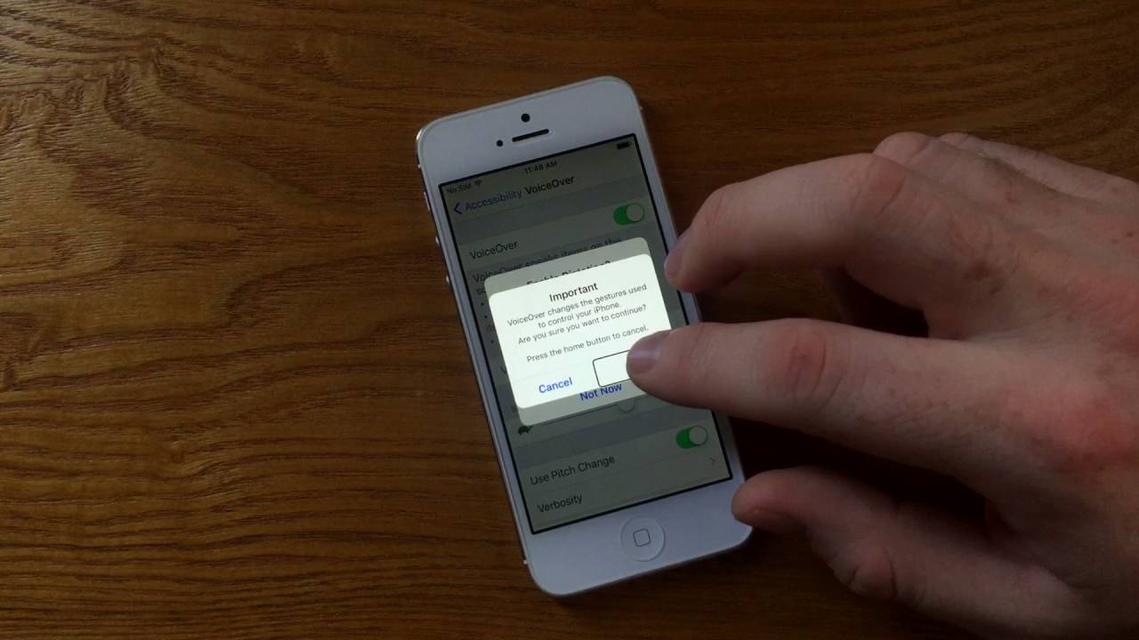 How To Use Voiceover On IPhone And IPad YouTube