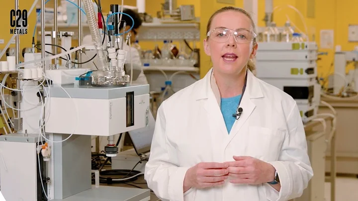 Professor Kathryn Mumford DLS Ekosolve Process