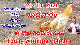 Download lagu 21 October  2026 Today Winning Colours//kukkuta sastram//colour update #telugu