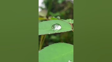 How to lightroom photo editing new PicsArt CB Editing Snapseed photo editing new background colour