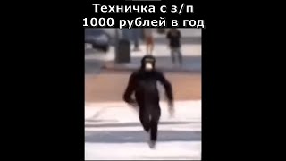 Убегай Сабир