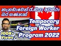 Canada Jobs | Temporary Foreign Worker Program 2022 | Sinhala | කැනඩාවෙන් රැකියා අවස්ථා