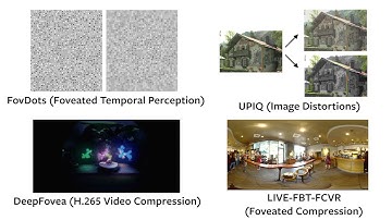 FovVideoVDP: video overview