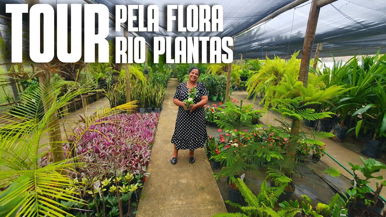 TOUR PELA FLORA RIO PLANTAS EM SÃO MATEUS: TODOS OS TIPOS DE PLANTAS | PALMEIRAS, CRÓTONS, ANTÚRIOS