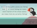 Puffin Colony and Fishing Patterns Quiz