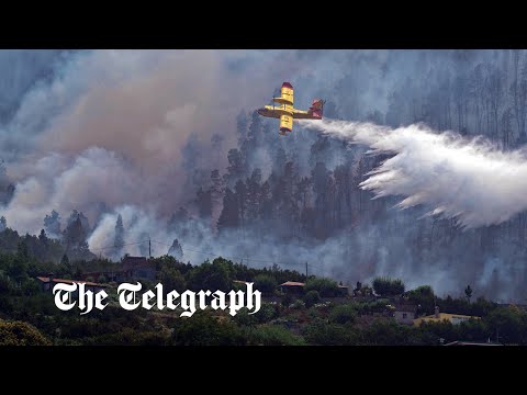 Firefighters battle blazes in Tenerife and Lesbos resort evacuated as wildfires ravage Europe