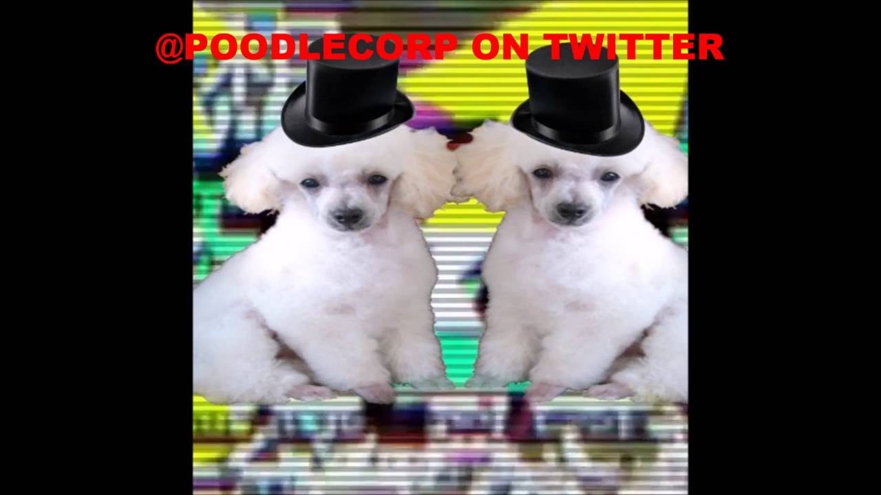 hacked by poodlecorp theme