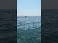 Море в Сочи