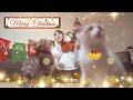 Last Christmas 經典聖誕歌| Violin 小提琴【Cover by AnViolin】