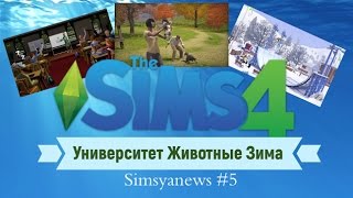 Sims 4 Университет Животные Зима Simsya News #5 Sims 4 Университет Животные Зима Simsya News #5