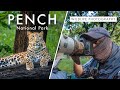 Photographie animalire dans le parc national de pench  pays du tigre ep 1  qute du lopard