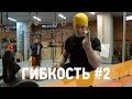 Растяжка и миофасциальный массаж для ТА и кроссфита - ARMA SPORT