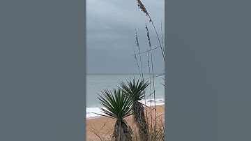 Take time to enjoy a change in latitude today. #windchill #jimmybuffett