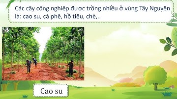 LSĐL- BÀI 20- DÂN CƯ VÀ HOẠT ĐỘNG SẢN XUẤT CỦA NGƯỜI DÂN Ở VÙNG TÂY NGUYÊN- TIẾT 2