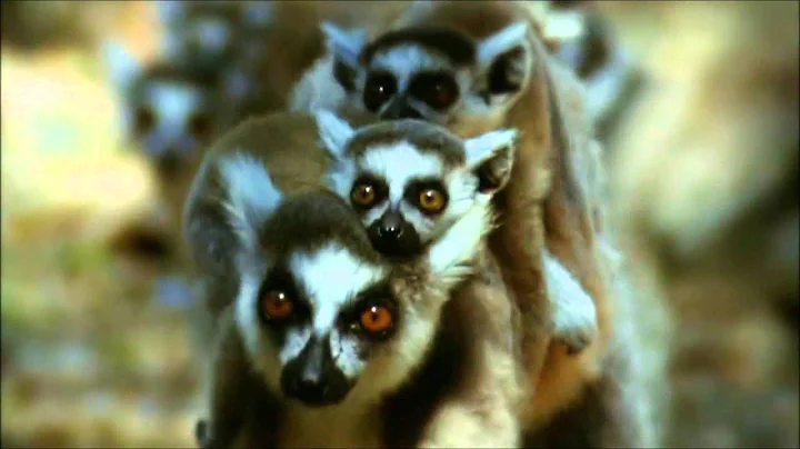 Environment, We Care!!! - 4R's Concept