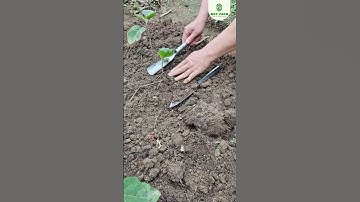 Dụng Cụ Làm Vườn#shorts