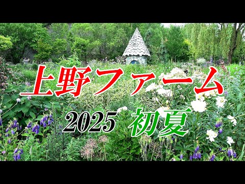 上野ファーム2025初夏 【北海道 旭川】4K