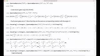 Wolfram Quantum Framework Study Group: Quantum Circuits