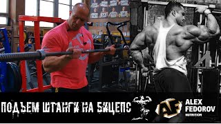 Подъем штанги на бицепс \  Barbell curl