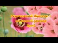 Відеодосьє "Український віночок - таємний знахар душі"