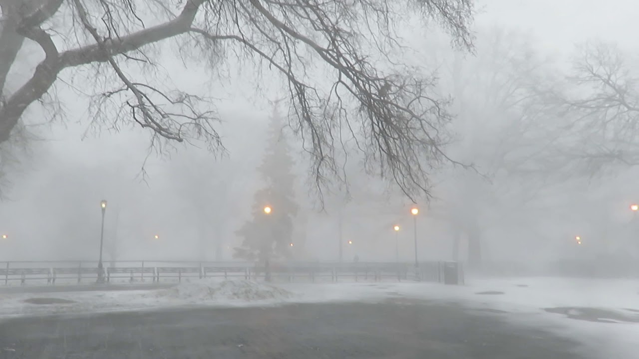 Snow squall in Tompkins Square Park, New York City 2019 - YouTube