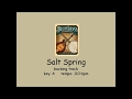 Salt spring   bluegrass backing track