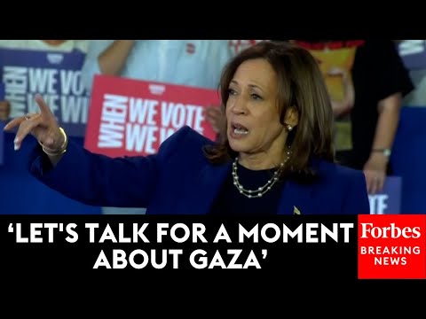 WATCH: Vice President