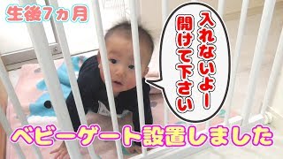 【赤ちゃん】キッチンにベビーゲートを設置したらやっぱり泣いた【生後7ヵ月】[Baby] I cried after installing a baby gate in the kitchen