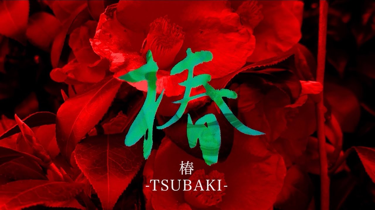 ながしまみのり / Minori Nagashima「椿-TSUBAKI-」Lyric Video (『艶