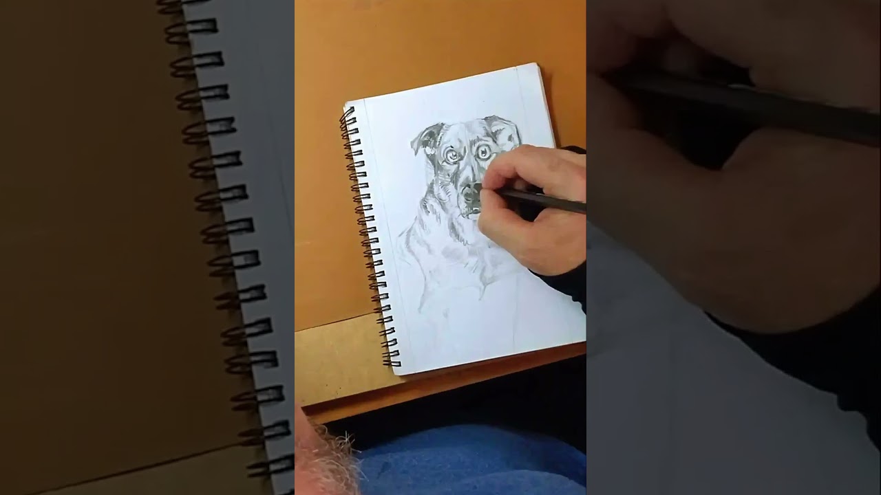 TIMELAPSE LOBITO'S DRAW - dibujo lápiz