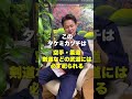 古事記・国作りと国譲り、日本の国の始め方