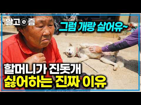 "이 놈의 영감탱이 ㅂㄷㅂㄷ" 마누라보다 진돗개가 예쁘다는 할아버지가 미워 진돗개를 싫어하는 할머니ㅋㅋㅋㅋ 나 같아도 싫겠어 ㅋㅋㅋ｜한국기행｜알고e즘