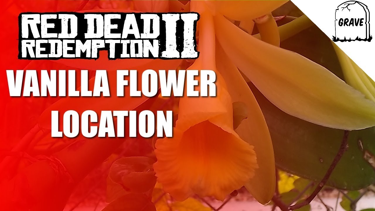 Vanilla Flower Location Red Dead Online Daily Challenge - YouTube