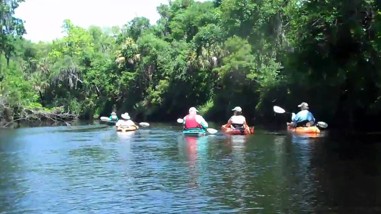 kayaking Kayaking Rye Preserve