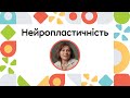 Нейропластичність | ОНЛАЙН-КУРС ВСТУП ДО РАННЬОГО ВТРУЧАННЯ