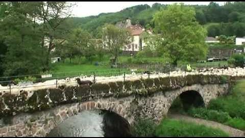 MON BEAU CANTAL 30 TRANSHUMANCE MOUTONS ST SIMON VELZIC 2012