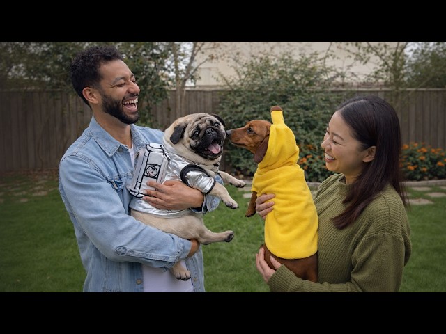 The Dog's Cosplay and expressions 🤣 Funny Dog and Cat Reactions 2026 - YouTube