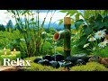 Peaceful Healing Music – Let Go of Stress and Find Serenity 🌸