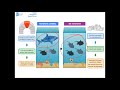 Foundation Species and Their Impact on Ecosystems