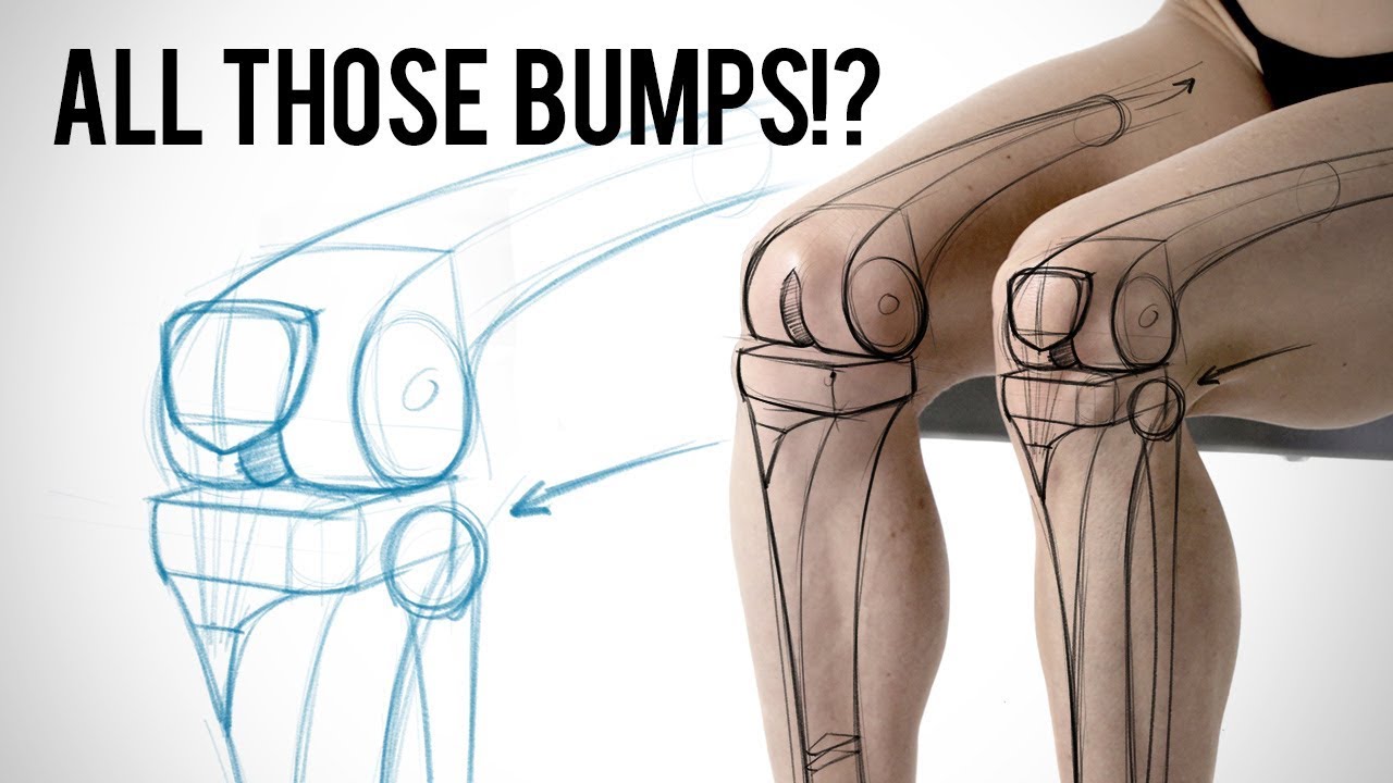 What Are All Those Bumps Learning Leg Bone Anatomy Youtube