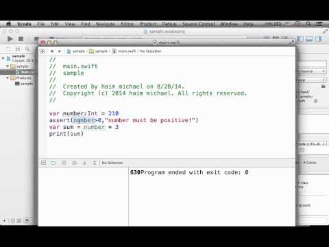 Creating Assertions in Swift
