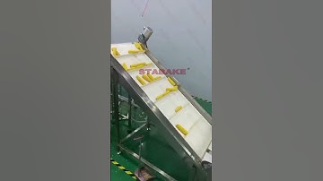 Automatic Stabake Frozen Corn Processing Line #corn #stweetcorn #frozencorn #stabake