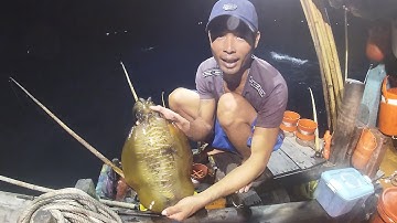 CÂU MỰC CÔN ĐẢO - Chuyến Câu Mực Lớn P14 |Câu Mực Biển Tây #62