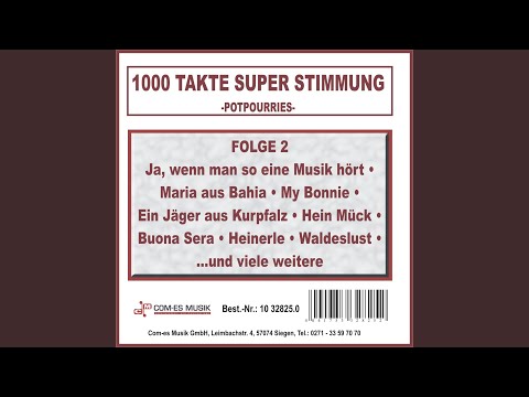 Matrosen-Hits Medley: Wir